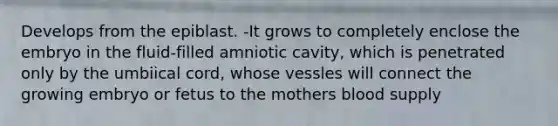 Develops from the epiblast. -It grows to completely enclose the embryo in the fluid-filled amniotic cavity, which is penetrated only by the umbiical cord, whose vessles will connect the growing embryo or fetus to the mothers blood supply