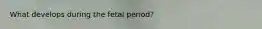 What develops during the fetal period?