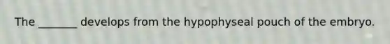 The _______ develops from the hypophyseal pouch of the embryo.