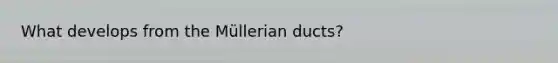 What develops from the Müllerian ducts?