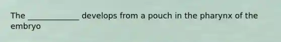 The _____________ develops from a pouch in the pharynx of the embryo
