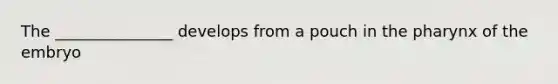 The _______________ develops from a pouch in the pharynx of the embryo