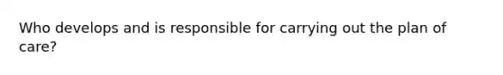 Who develops and is responsible for carrying out the plan of care?