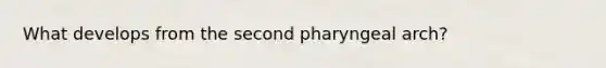 What develops from the second pharyngeal arch?