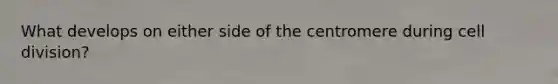 What develops on either side of the centromere during cell division?