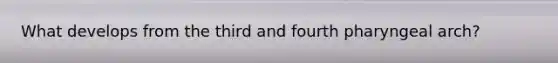 What develops from the third and fourth pharyngeal arch?