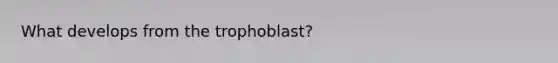 What develops from the trophoblast?