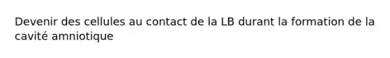 Devenir des cellules au contact de la LB durant la formation de la cavité amniotique