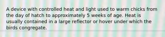 A device with controlled heat and light used to warm chicks from the day of hatch to approximately 5 weeks of age. Heat is usually contained in a large reflector or hover under which the birds congregate.