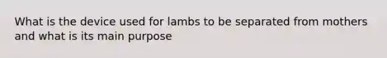 What is the device used for lambs to be separated from mothers and what is its main purpose