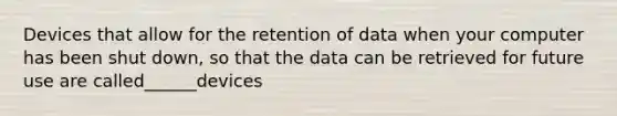 Devices that allow for the retention of data when your computer has been shut down, so that the data can be retrieved for future use are called______devices