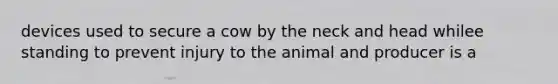 devices used to secure a cow by the neck and head whilee standing to prevent injury to the animal and producer is a