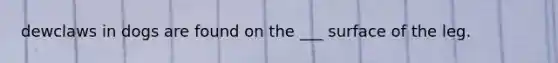 dewclaws in dogs are found on the ___ surface of the leg.