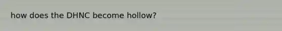 how does the DHNC become hollow?