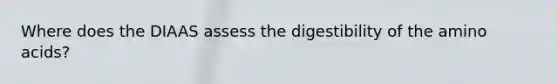 Where does the DIAAS assess the digestibility of the amino acids?