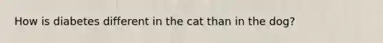 How is diabetes different in the cat than in the dog?