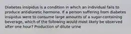 Diabetes insipidus is a condition in which an individual fails to produce antidiuretic hormone. If a person suffering from diabetes insipidus were to consume large amounts of a sugar-containing beverage, which of the following would most likely be observed after one hour? Production of dilute urine