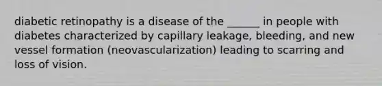 diabetic retinopathy is a disease of the ______ in people with diabetes characterized by capillary leakage, bleeding, and new vessel formation (neovascularization) leading to scarring and loss of vision.