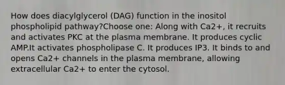 How does diacylglycerol (DAG) function in the inositol phospholipid pathway?Choose one: Along with Ca2+, it recruits and activates PKC at the plasma membrane. It produces cyclic AMP.It activates phospholipase C. It produces IP3. It binds to and opens Ca2+ channels in the plasma membrane, allowing extracellular Ca2+ to enter the cytosol.