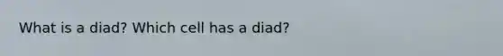 What is a diad? Which cell has a diad?