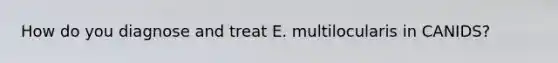 How do you diagnose and treat E. multilocularis in CANIDS?