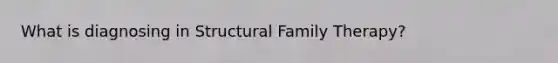 What is diagnosing in Structural Family Therapy?