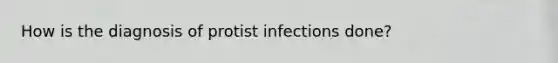 How is the diagnosis of protist infections done?