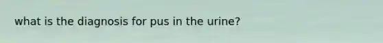 what is the diagnosis for pus in the urine?