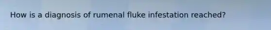 How is a diagnosis of rumenal fluke infestation reached?