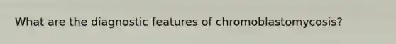 What are the diagnostic features of chromoblastomycosis?