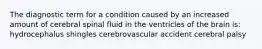 The diagnostic term for a condition caused by an increased amount of cerebral spinal fluid in the ventricles of the brain is: hydrocephalus shingles cerebrovascular accident cerebral palsy