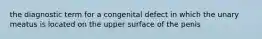 the diagnostic term for a congenital defect in which the unary meatus is located on the upper surface of the penis