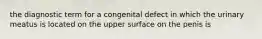 the diagnostic term for a congenital defect in which the urinary meatus is located on the upper surface on the penis is