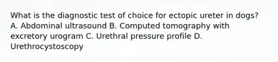 What is the diagnostic test of choice for ectopic ureter in dogs? A. Abdominal ultrasound B. Computed tomography with excretory urogram C. Urethral pressure profile D. Urethrocystoscopy