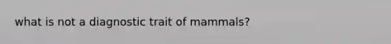 what is not a diagnostic trait of mammals?