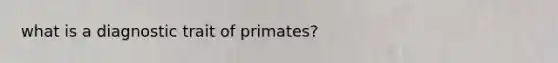 what is a diagnostic trait of primates?