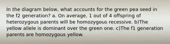 In the diagram below, what accounts for the green pea seed in the f2 generation? a. On average, 1 out of 4 offspring of heterozygous parents will be homozygous recessive. b)The yellow allele is dominant over the green one. c)The f1 generation parents are homozygous yellow.