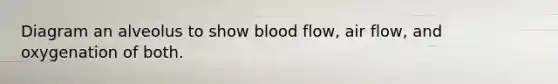 Diagram an alveolus to show blood flow, air flow, and oxygenation of both.