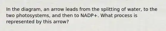 In the diagram, an arrow leads from the splitting of water, to the two photosystems, and then to NADP+. What process is represented by this arrow?