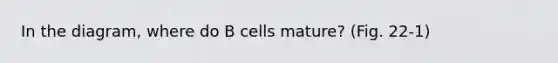 In the diagram, where do B cells mature? (Fig. 22-1)