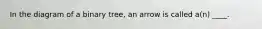 In the diagram of a binary tree, an arrow is called a(n) ____.