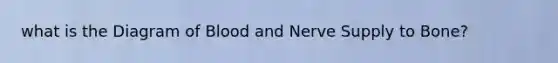 what is the Diagram of Blood and Nerve Supply to Bone?