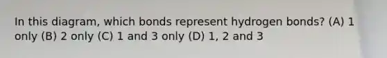 In this diagram, which bonds represent hydrogen bonds? (A) 1 only (B) 2 only (C) 1 and 3 only (D) 1, 2 and 3
