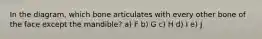 In the diagram, which bone articulates with every other bone of the face except the mandible? a) F b) G c) H d) I e) J