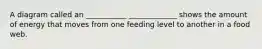 A diagram called an ___________ _____________ shows the amount of energy that moves from one feeding level to another in a food web.