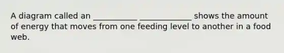 A diagram called an ___________ _____________ shows the amount of energy that moves from one feeding level to another in a food web.