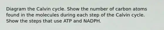 Diagram the Calvin cycle. Show the number of carbon atoms found in the molecules during each step of the Calvin cycle. Show the steps that use ATP and NADPH.