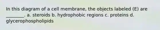 In this diagram of a cell membrane, the objects labeled (E) are ________. a. steroids b. hydrophobic regions c. proteins d. glycerophospholipids