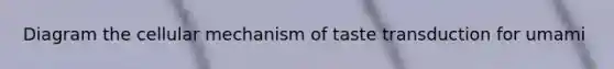 Diagram the cellular mechanism of taste transduction for umami