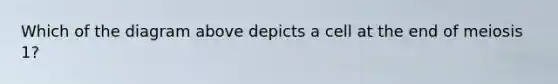 Which of the diagram above depicts a cell at the end of meiosis 1?